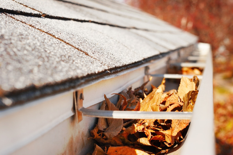 Leaves and organic debris built up inside a rain gutter in Northeast Florida